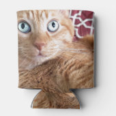 Frankie Dosenkühler (Rückseite)