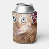 Frankie Dosenkühler (Kanne Rückseite)