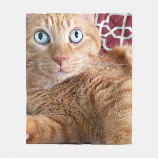 Frankie Fleecedecke (Vorderseite)