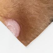 Frankie Fleecedecke (Ecke)