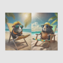 Frankie G & Gerald, Guinea Schweine Go Vaca