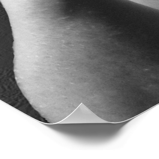 Frankie II Fists Poster (Ecke)