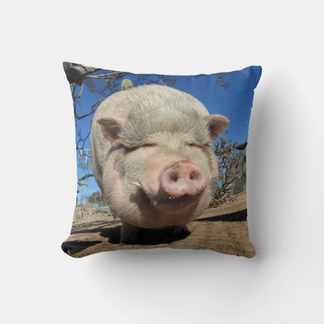 Frankie Pig Pillow Kissen (Vorderseite)
