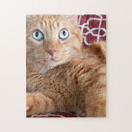 Frankie Puzzle (Vertikal)