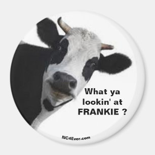 FRANKIE Was du dir ansiehst, lustiger Magnet? Magnet