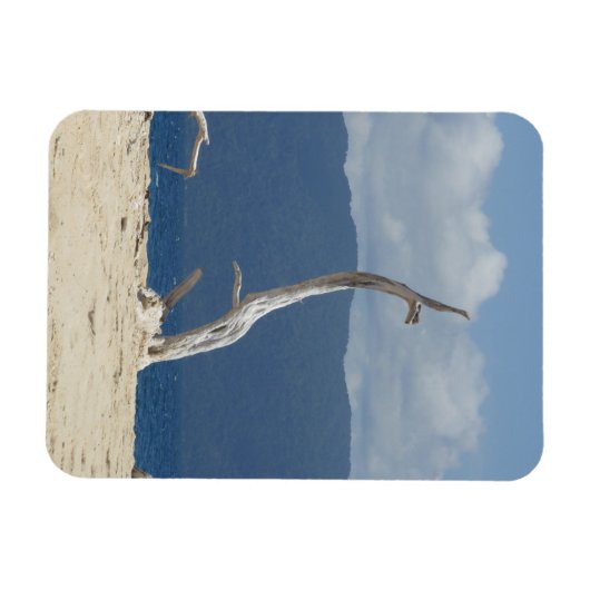 Frankland Islands Flexible Foto Magnet (Horizontal)