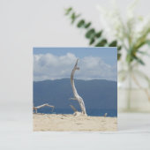 Franklandinseln - Australien - Flachkarte (Stehend Vorderseite)