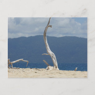 Franklandinseln - Australien Postkarte