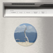 Franklandinseln - Australisches Magnet (In Situ (Geschirrspüler))