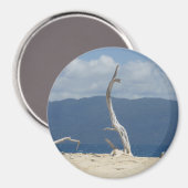 Franklandinseln - Australisches Magnet (Vorderseite/Rückseite)