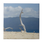 Franklandinseln Keramik Tile Fliese (Vorderseite)