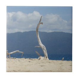 Franklandinseln Keramik Tile Fliese