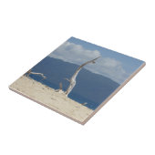 Franklandinseln Keramik Tile Fliese (Seite)