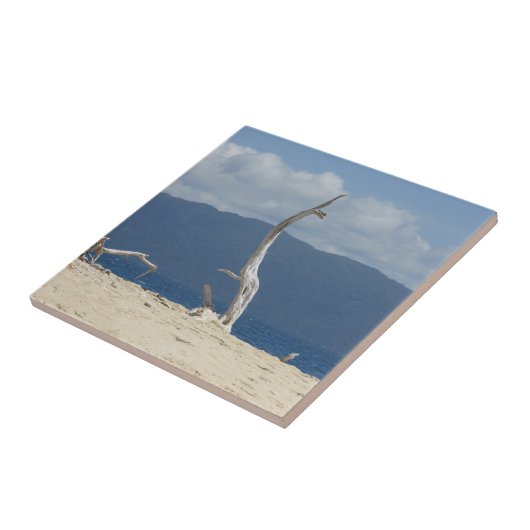 Franklandinseln Keramik Tile Fliese (Seite)