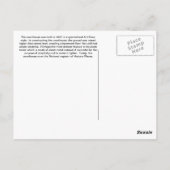 Franklin Landkreis Courthouse - Winchester, TN Postkarte (Rückseite)