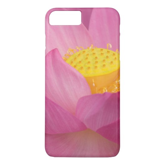 Franklin NC, Perry Water Garden, Lotus 2 Case-Mate iPhone Hülle (Rückseite)