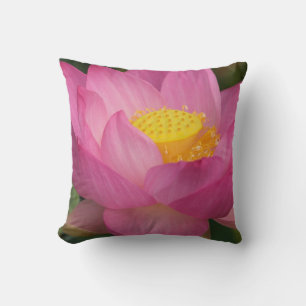 Franklin NC, Perry Water Garden, Lotus 2 Kissen
