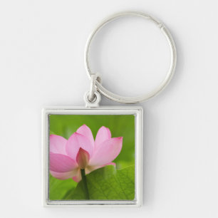 Franklin NC, Perry Water Garden, Lotus Schlüsselanhänger