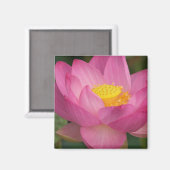Franklin NC, Perrys Wassergarten, Lotus 2 Magnet (Vorderseite/Rückseite)