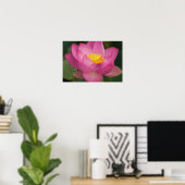 Franklin NC, Perrys Wassergarten, Lotus 2 Poster (Heimbüro)