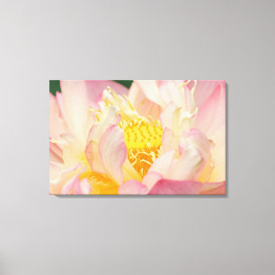 Franklin NC, Perrys Wassergarten, Lotus mit Leinwanddruck