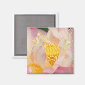 Franklin NC, Perrys Wassergarten, Lotus mit Magnet (Vorderseite/Rückseite)