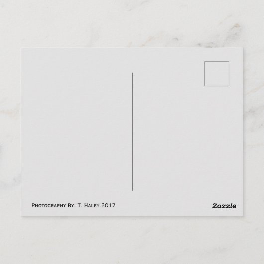 Franklin Park Conservatory, Ohio Postcard Postkarte (Rückseite)