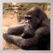 Franklin Park Zoo Gorilla Poster (Vorne)