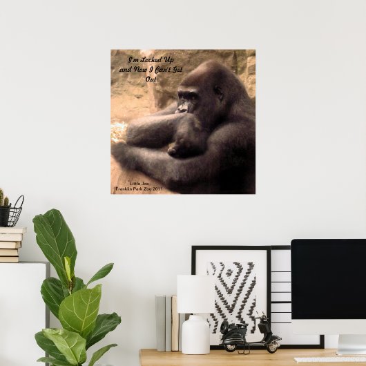 Franklin Park Zoo Gorilla Poster (Heimbüro)
