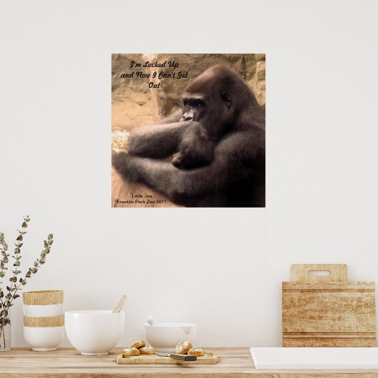 Franklin Park Zoo Gorilla Poster (Küche)
