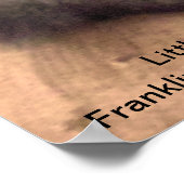 Franklin Park Zoo Gorilla Poster (Ecke)