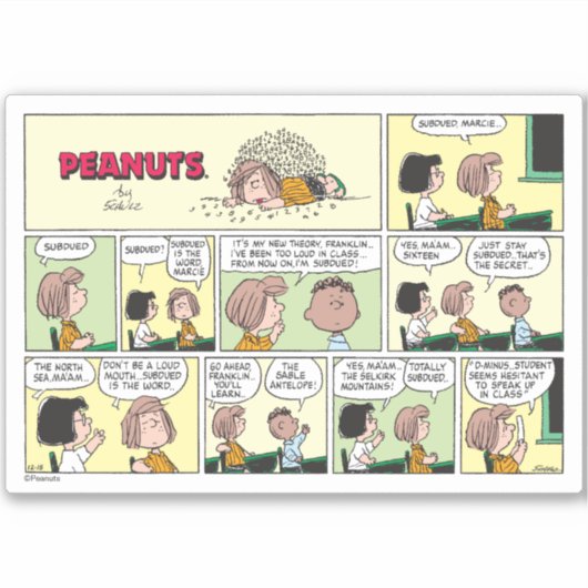 Franklin, Peppermint Patty & Marcie | Math-Klasse Aufkleber (Vorderseite)
