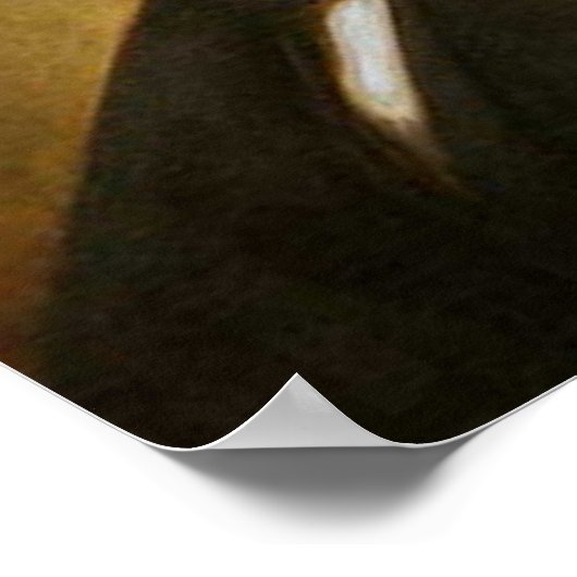 Franklin Pierce 14 Poster (Ecke)