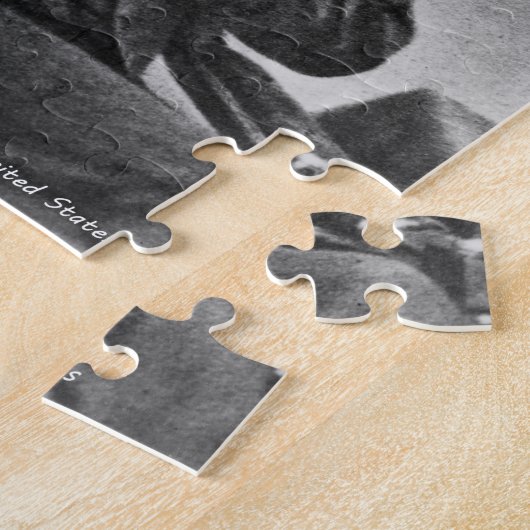 Franklin Pierce 14. Präsident von Amerika. Puzzle (Seite)