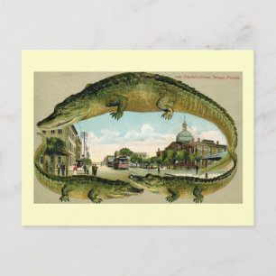 Franklin St., Tampa, Florida Vintag Postkarte