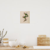 Franklins Bartvogel von John Gould Druck Poster (Küche)