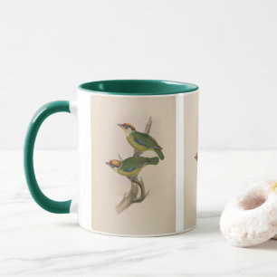 Franklins Bartvogel von John Gould Tasse