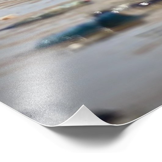 Franklins Gull Fotodruck (Ecke)