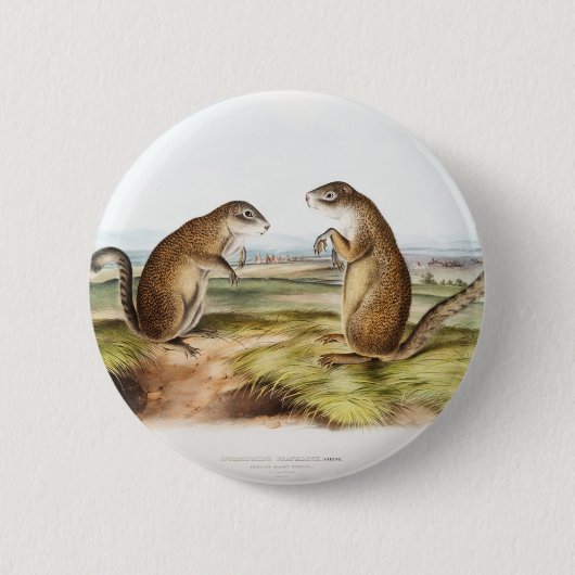 Franklins Marmot-Eichhörnchen-Camping Gear Deko Ge Button (Vorderseite)