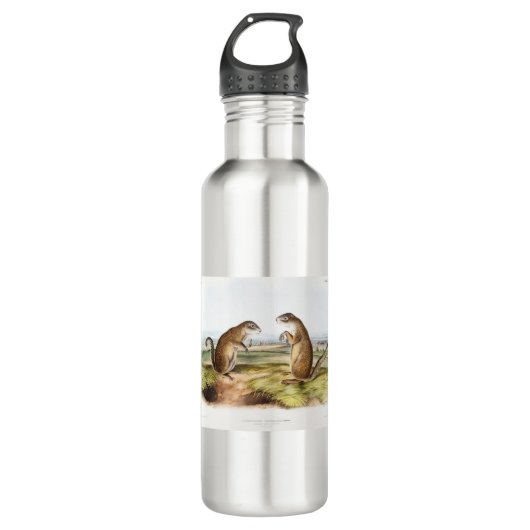 Franklins Marmot-Eichhörnchen-Camping Gear Deko Ge Edelstahlflasche (Vorderseite)