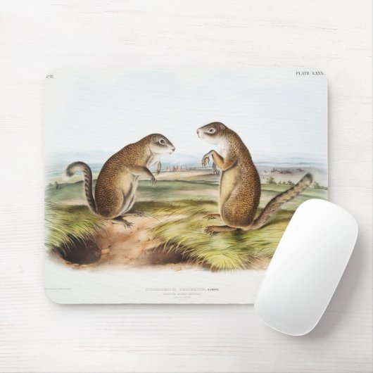 Franklins Marmot-Eichhörnchen-Camping Gear Deko Ge Mousepad (Mit Mouse)