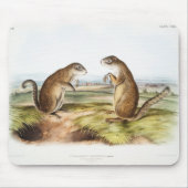 Franklins Marmot-Eichhörnchen-Camping Gear Deko Ge Mousepad (Vorne)