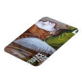 Frankreich 2013 magnet (Linke Seite)