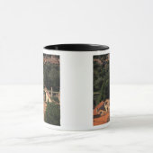 Frankreich, Avignon, Provence. Pont St., Benezet. Tasse (Zentrum)