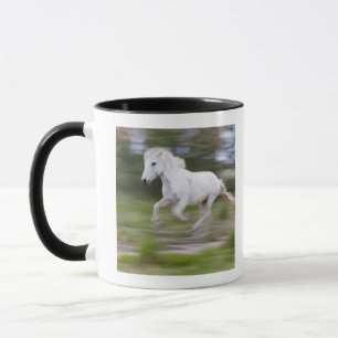 Frankreich, Bouches DU Rhône, natürlicher Tasse