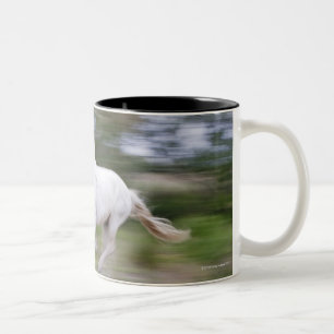 Frankreich, Bouches DU Rhône, natürlicher Zweifarbige Tasse