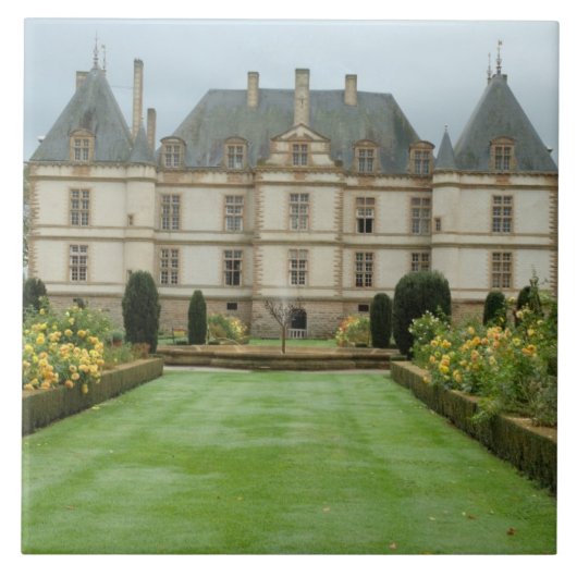 Frankreich, Burgund, Cormatin, Chateau de Cormatin Fliese (Vorderseite)