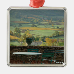 Frankreich, Burgund, Region Maconnais, Chateau de Silbernes Ornament