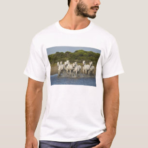 Frankreich, Camargue. Pferde laufen durch die Flus T-Shirt