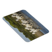 Frankreich, Camargue. Pferde laufen durch die Münd Magnet (Rechte Seite)